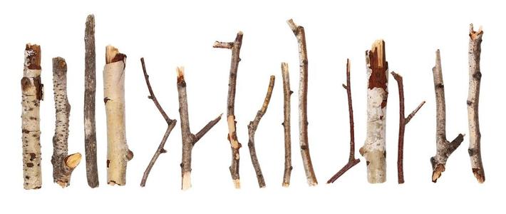 Small Twigs