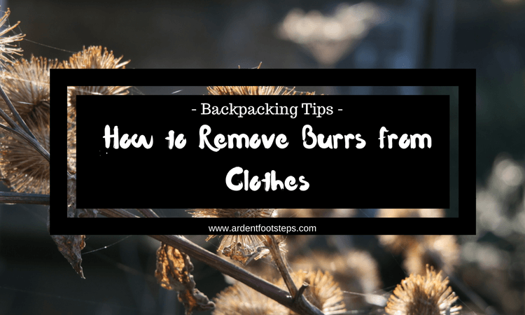 How to Remove Burrs from Clothes