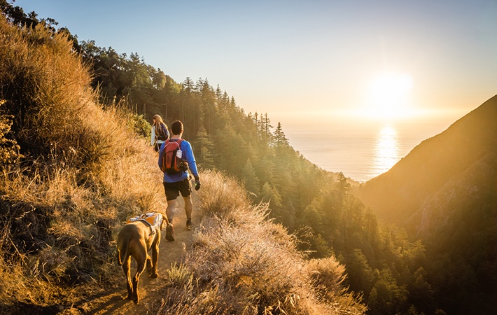 Hiking with Dogs