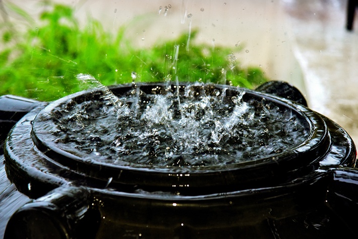 Advantages and disadvantages of drinking rainwater