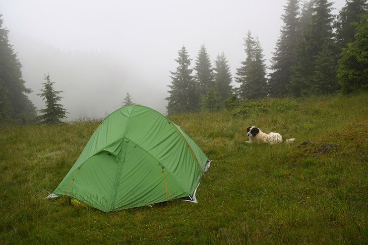 best waterproof tents for sale