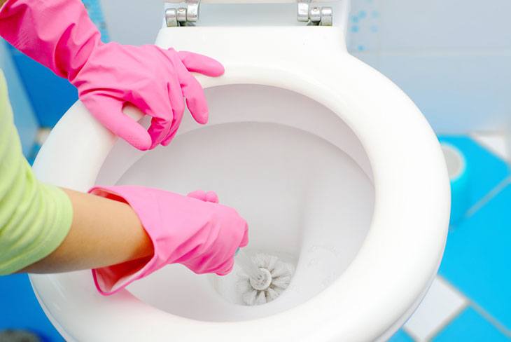 how to clean rv toilet bowl